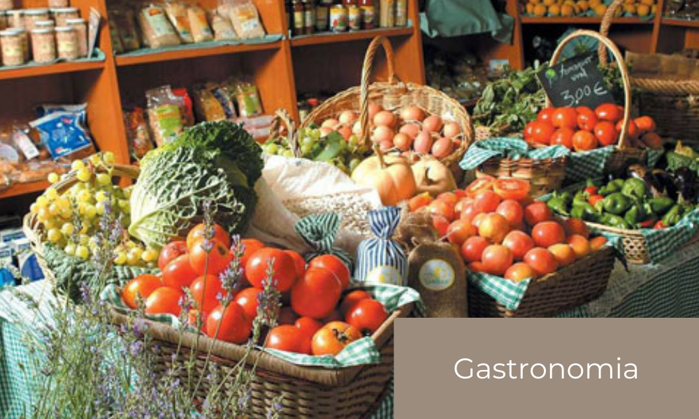 gastro.png