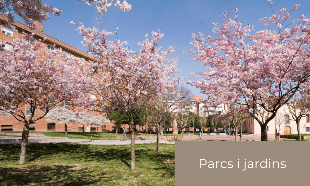 parcs.png