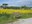 Pinetons_1-1024x768.jpg