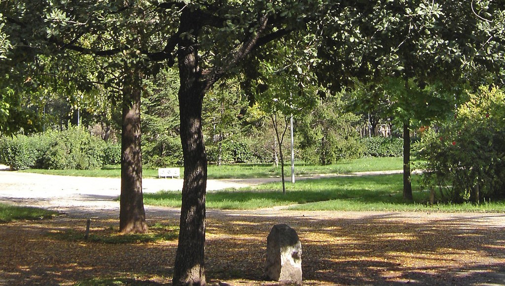 Millennium Oak.