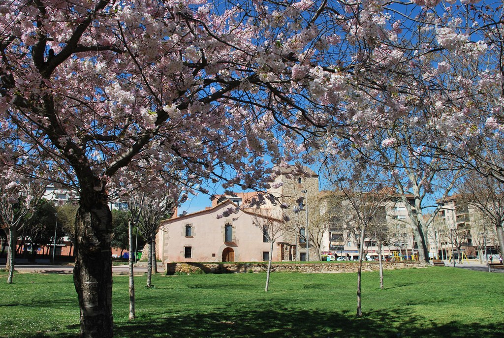 Can Borrell farmhouse.