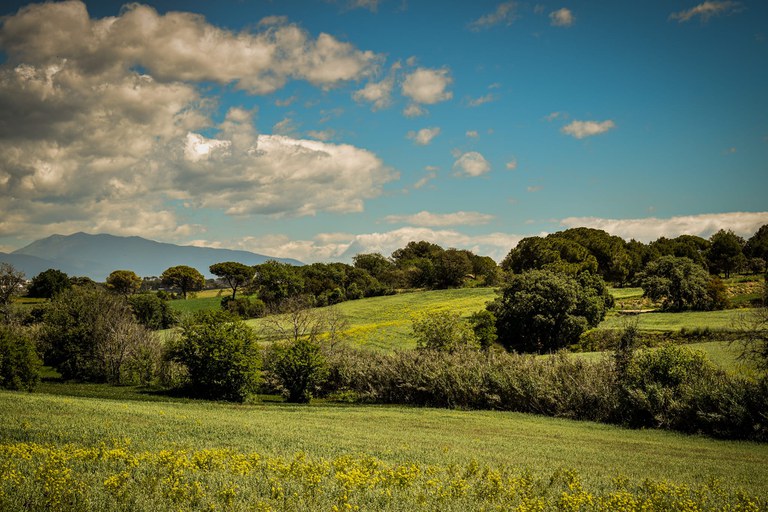 WhatsApp Image 2024-05-09 at 15.45.59.jpeg