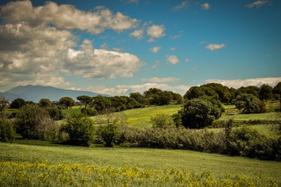 WhatsApp Image 2024-05-09 at 15.45.59.jpeg