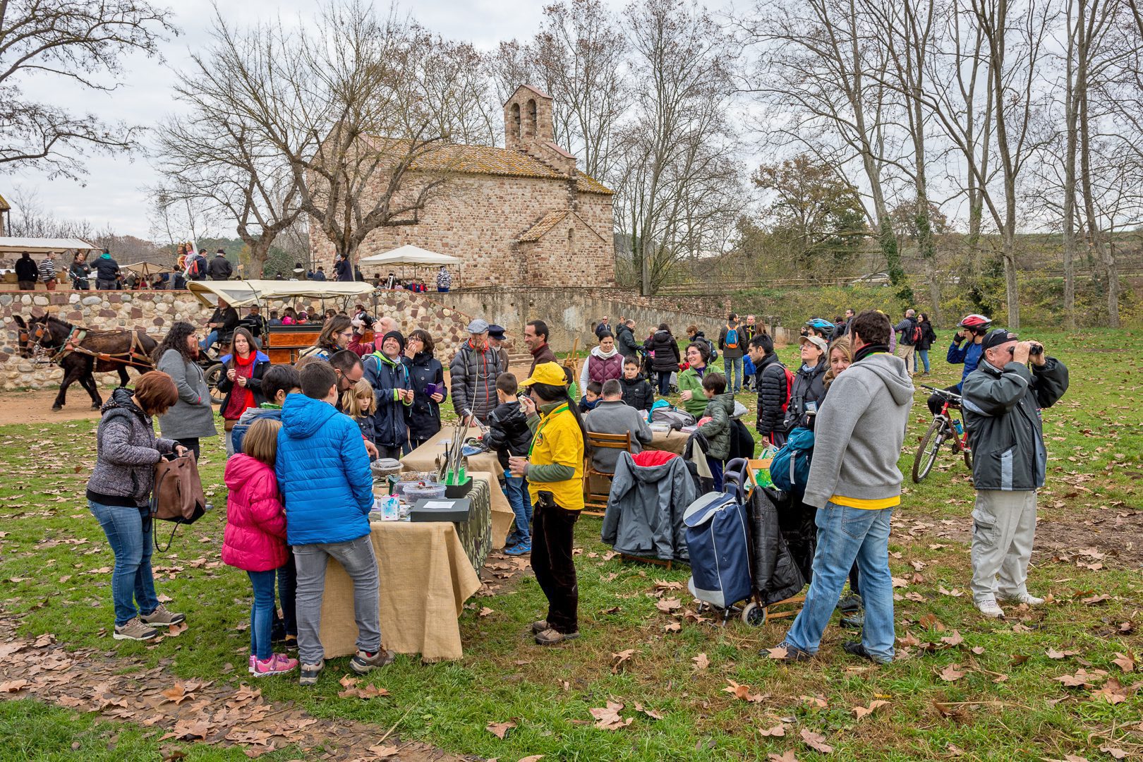 Cultura Mollet