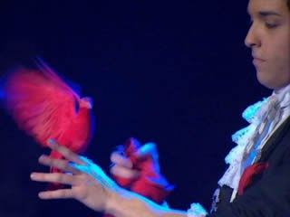 Teatre infantil: Charlie Mag.