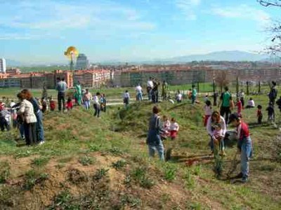 Festa de l'Arbre.