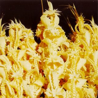 Benedicció de la Palma (Diumenge de Rams).
