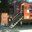Bus-Alicia-detall.jpg