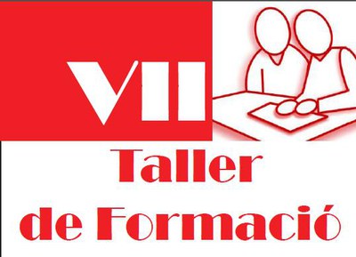 VII Taller de Formació del FòrumSD.