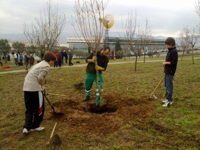 Festa de l'Arbre.
