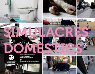 Visita comentada i inauguració de l'exposició: "Simulacres domèstics", de Raquel Avellaneda.