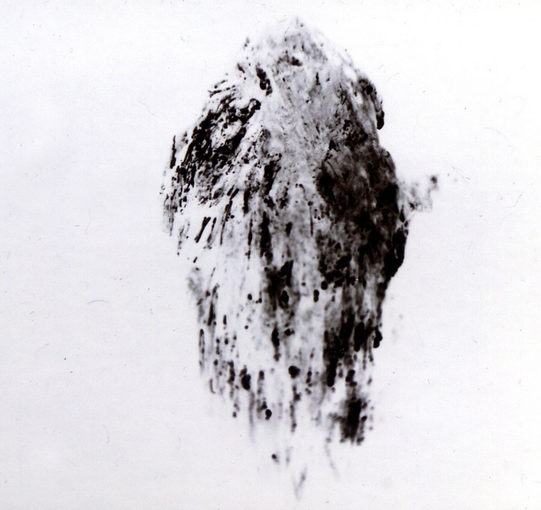 Fotografia de XGUIX