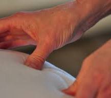 Xerrada: "Zen Shiatsu", a càrrec de Lola Berbel, terapeuta.