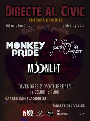 Cicle de concerts Directe al Cívic.