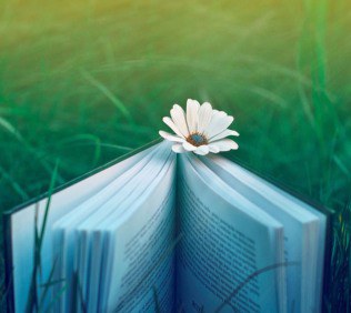 Recital poètic de primavera de l'Associació 7 Plomes.