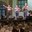 Festa Major 2016: Havaneres amb el Grup Xarxa