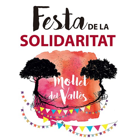 FESTA-SOLIDARITAT-port.jpg