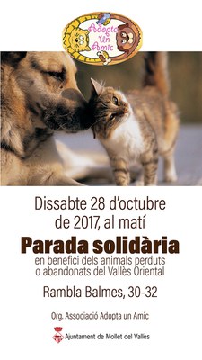 Mercat solidari de venda d'articles de segona mà Adopta un amic.