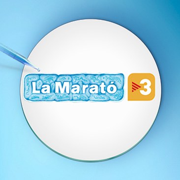 Nadal 2017: Cabell boig solidari per la Marató de TV3 (tall de cabell i vermut solidari).