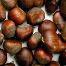 Festa de la Castanyada.