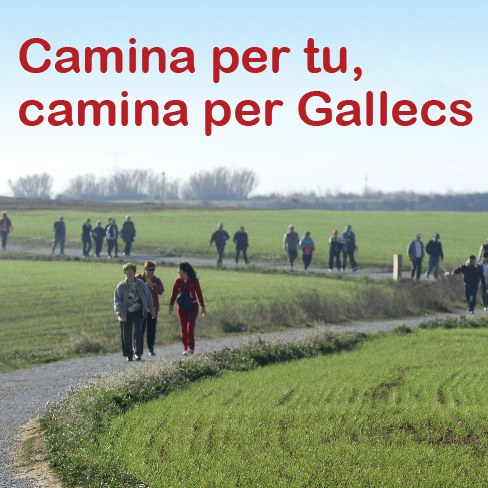 Caminada Gallecs 2018 aux