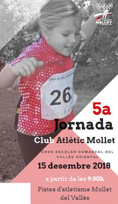 Cross Escolar Comarcal.