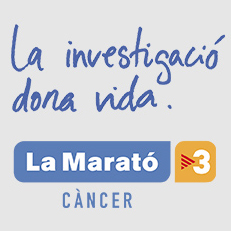 Marato aux2