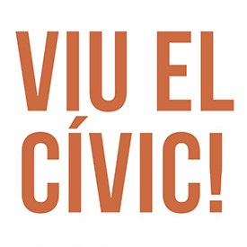 viu el civic aux2
