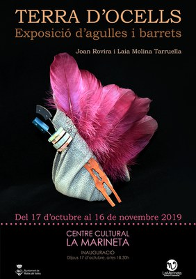 Exposició: "Terra d'Ocells" . Exposició d'agulles i barrets.