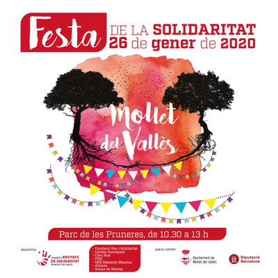 Sant Vicenç 2020: Festa de la Solidaritat.