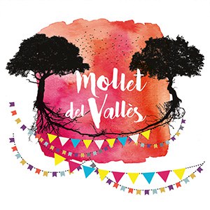 FestaSolidaritat aux