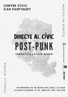 Directe al Cívic: Temàtica Post-Punk.