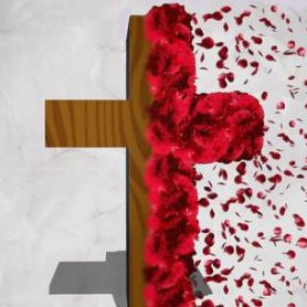 Cruz de Mayo: Actuacions.