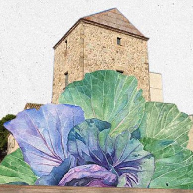 festaverda aux
