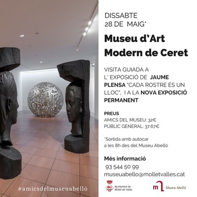 Sortida al Museu d'Art Modern de Ceret.