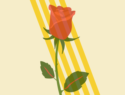 Imagen gráfica del cartel.