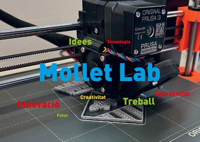 Cápsula formativa Mollet Lab: Diseño 2D.