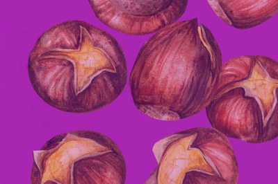 Castañas sobre un fondo morado.