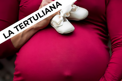 Imagen gráfica de la charla.