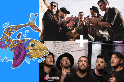 Grupos Piratas Rumbversiones y D-Covers.