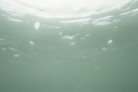 ${python:item['image_alternative_text'] or item['title']