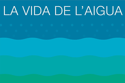 Imagen gráfica del cartel.