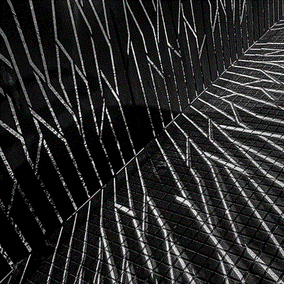 Exposición: XXXI Concurso de Fotografía San Vicente '26.