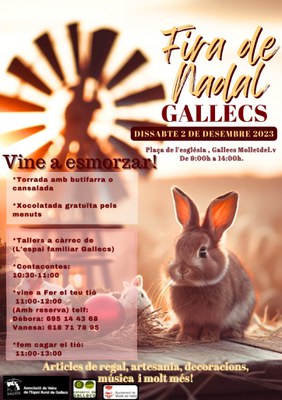 FERIA DE NAVIDAD EN GALLECS.