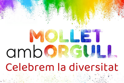 Imagen gráfica del cartel.