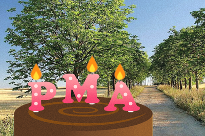 Paseo creativo: Caminata por Gallecs.