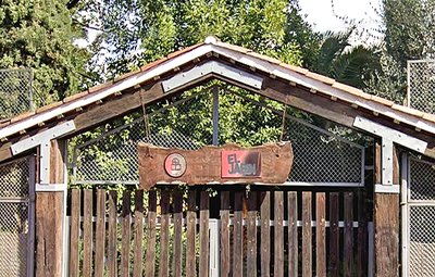 Taller de Bachata en el Jardinet del Casal.