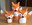 ¡Ven a hacer animalitos con rollos de papel de váter!