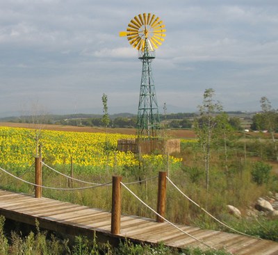 Dia Mundial del Medi Ambient.