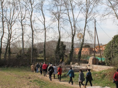 Mollet acull la cloenda europea del projecte "Diet for a Green Planet".
